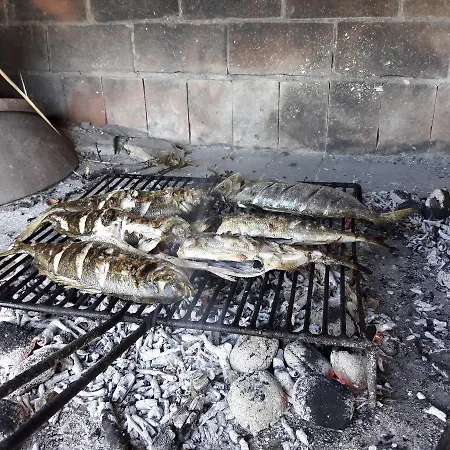 Gordana Apartman Drage